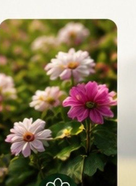 Cultivo ornamental en floración: la ventana climática y el Delta T definen la calidad de la aplicación